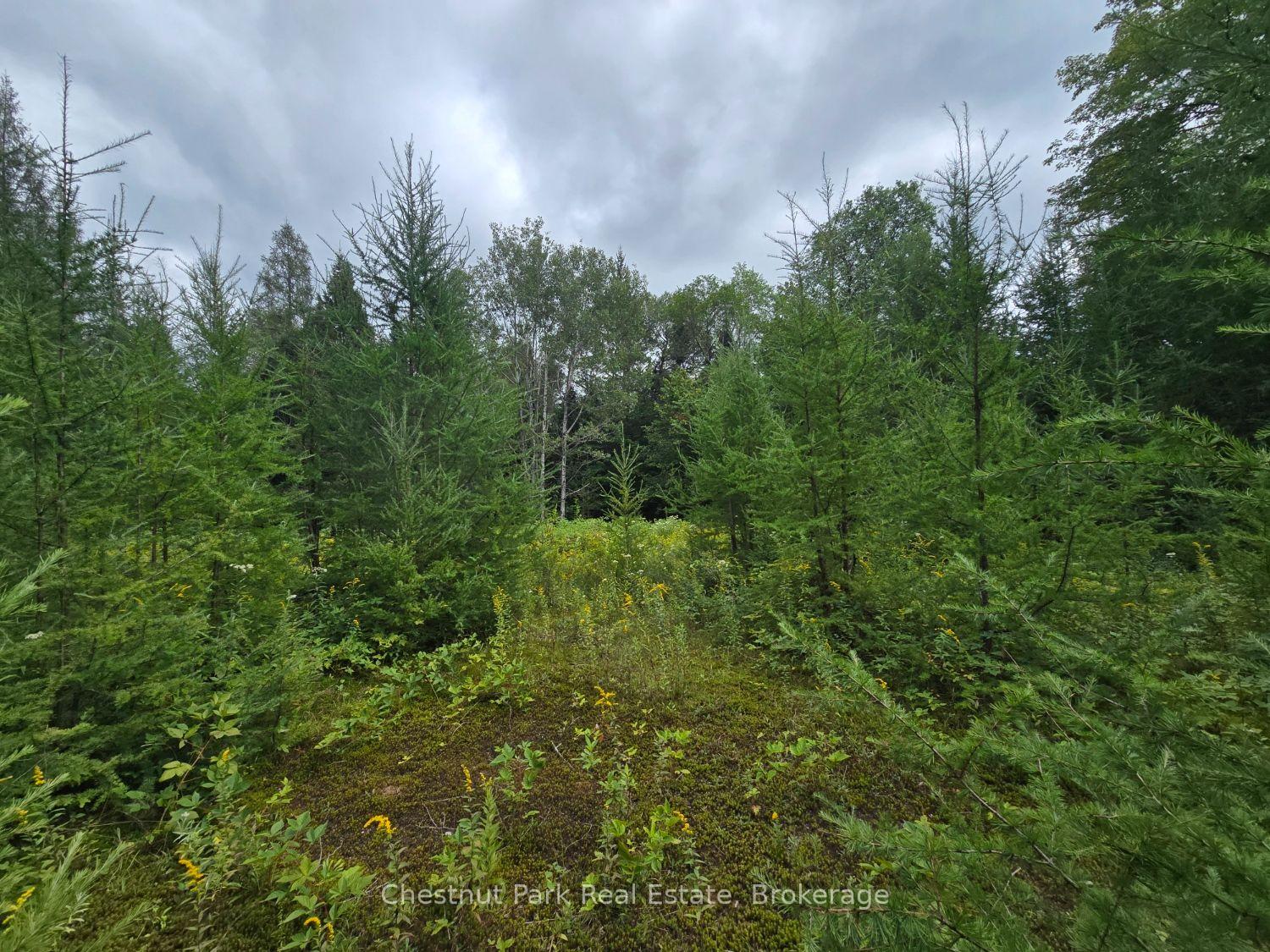 Photo 6 of 00 Old Track Road, Perry — HOMEH