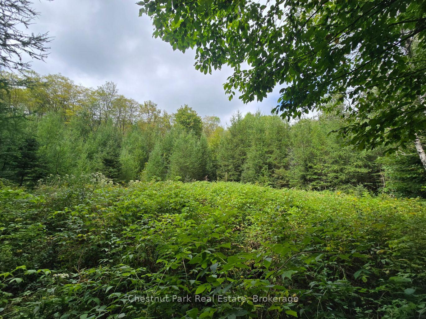 Photo 7 of 00 Old Track Road, Perry — HOMEH