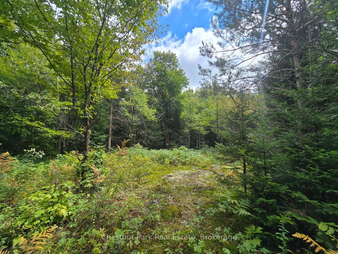 Photo 8 of 00 Old Track Road, Perry — HOMEH