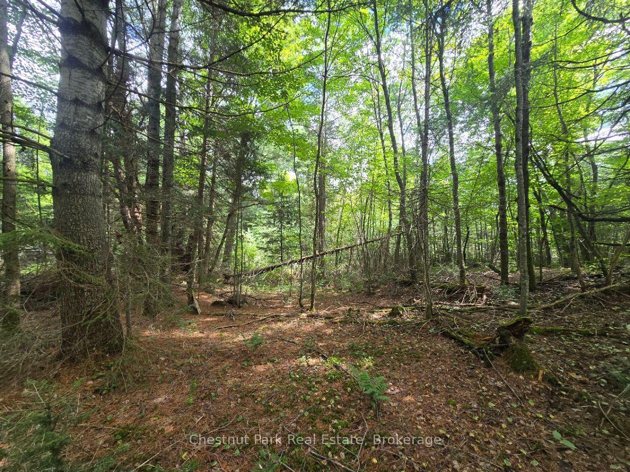 Photo 9 of 00 Old Track Road, Perry — HOMEH