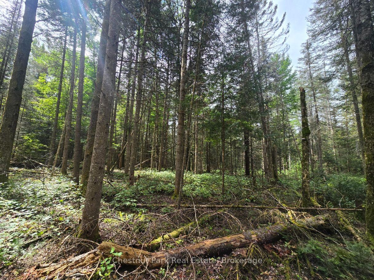 Photo 11 of 00 Old Track Road, Perry — HOMEH