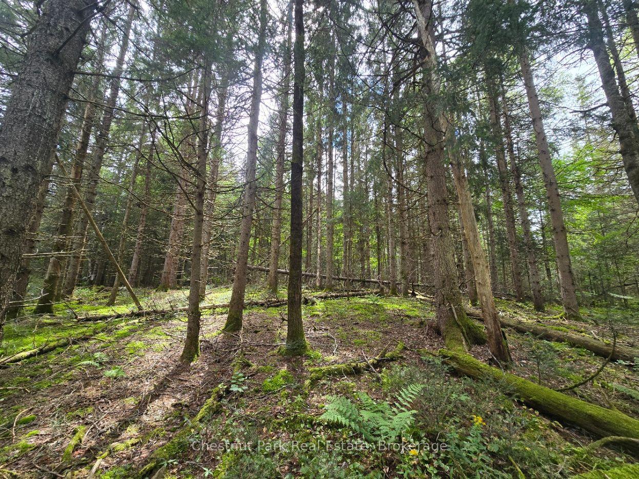 Photo 13 of 00 Old Track Road, Perry — HOMEH