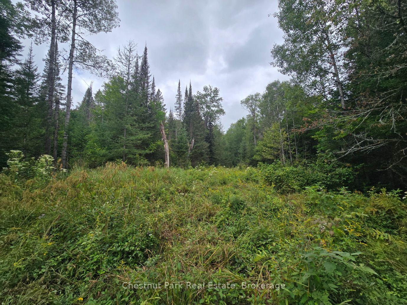 Photo 15 of 00 Old Track Road, Perry — HOMEH
