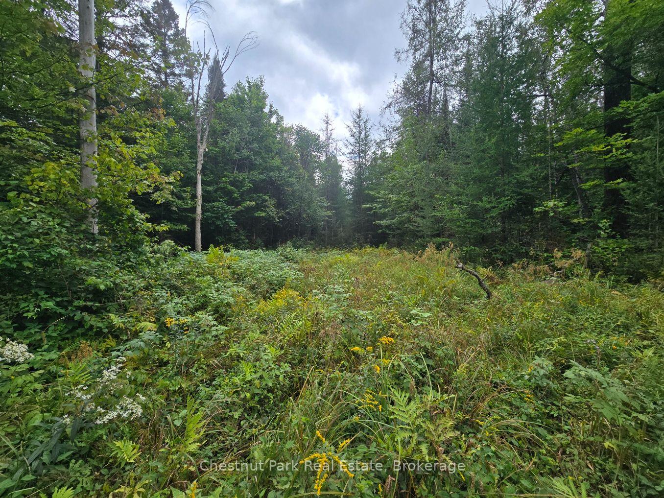 Photo 16 of 00 Old Track Road, Perry — HOMEH
