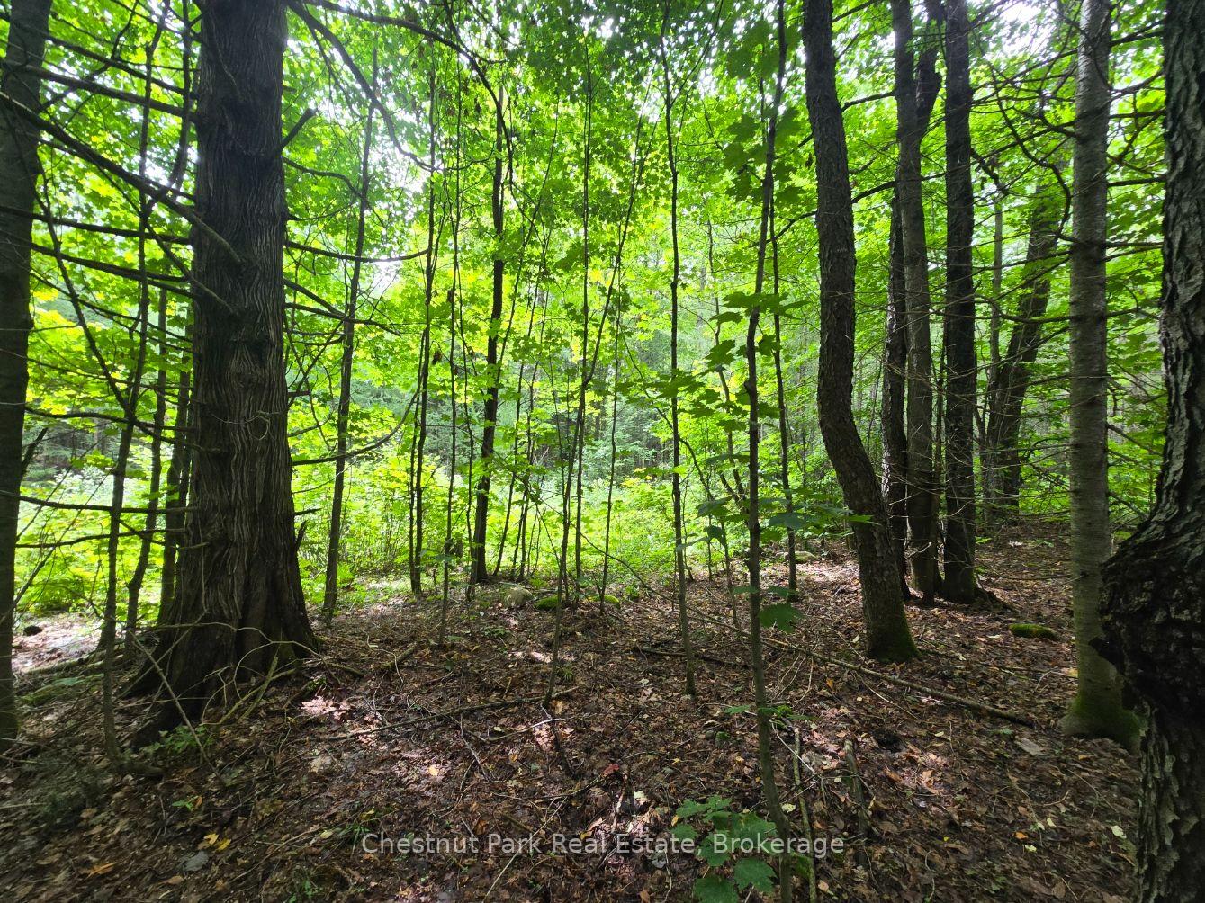 Photo 17 of 00 Old Track Road, Perry — HOMEH