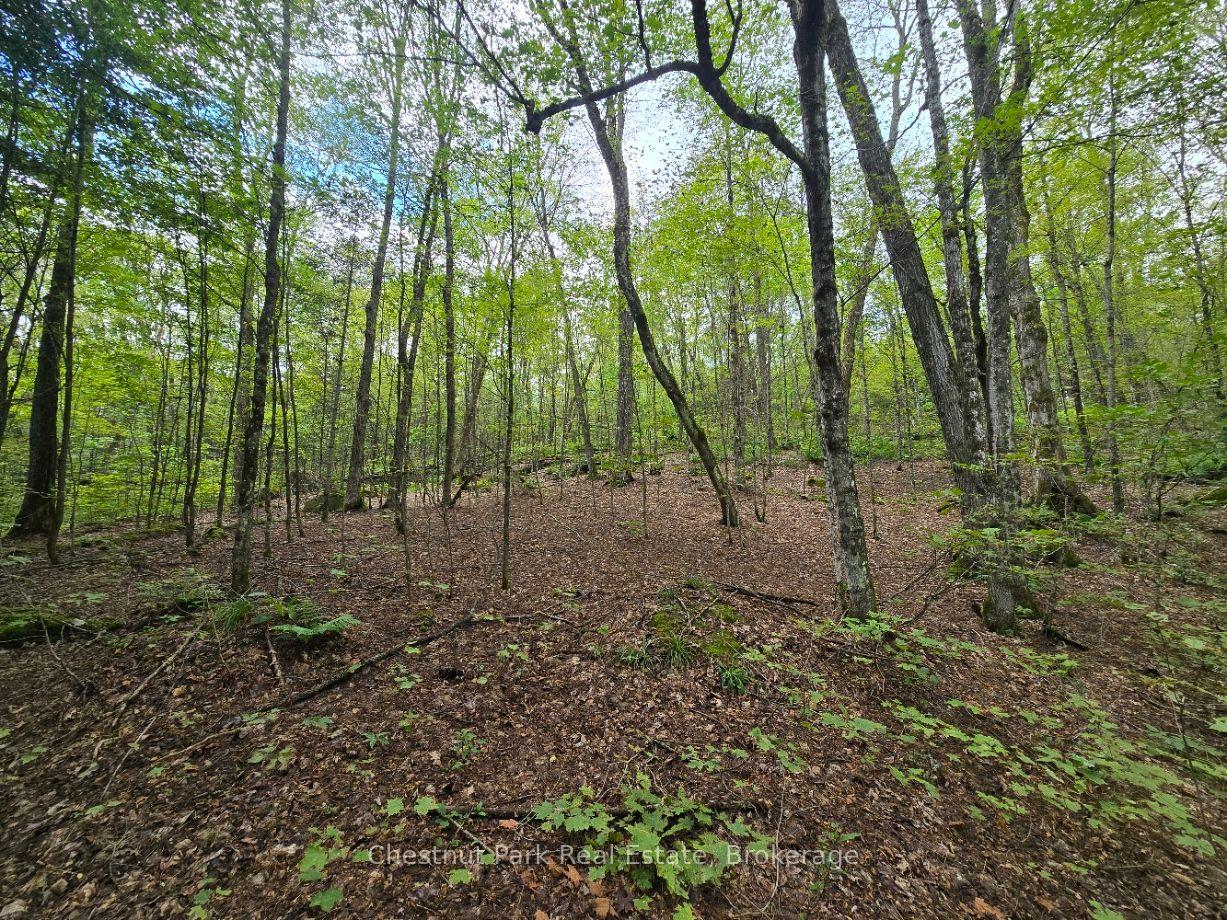 Photo 18 of 00 Old Track Road, Perry — HOMEH