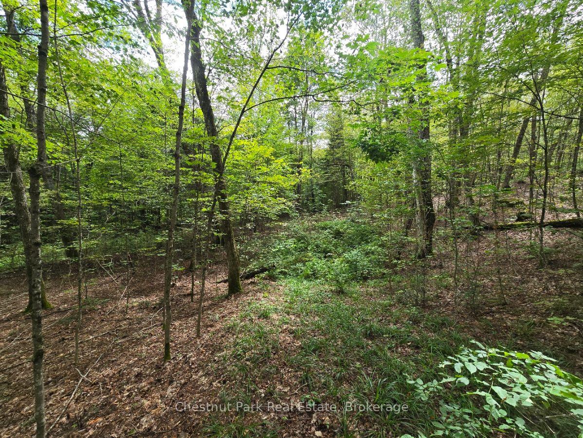 Photo 19 of 00 Old Track Road, Perry — HOMEH