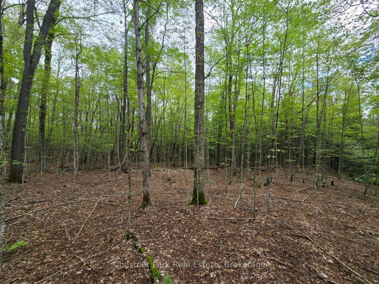 Photo 20 of 00 Old Track Road, Perry — HOMEH