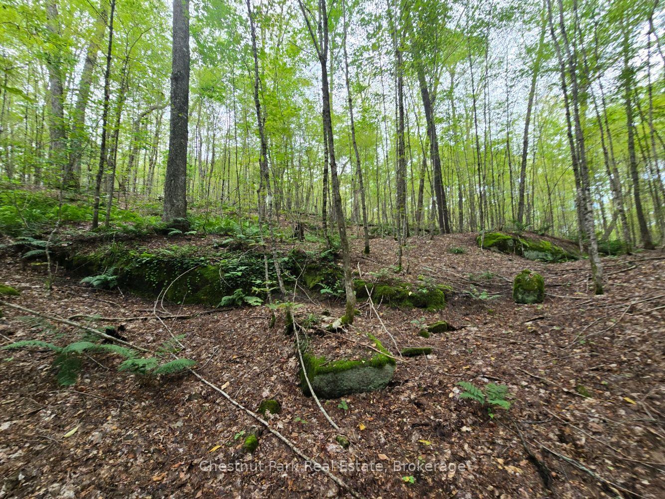 Photo 21 of 00 Old Track Road, Perry — HOMEH
