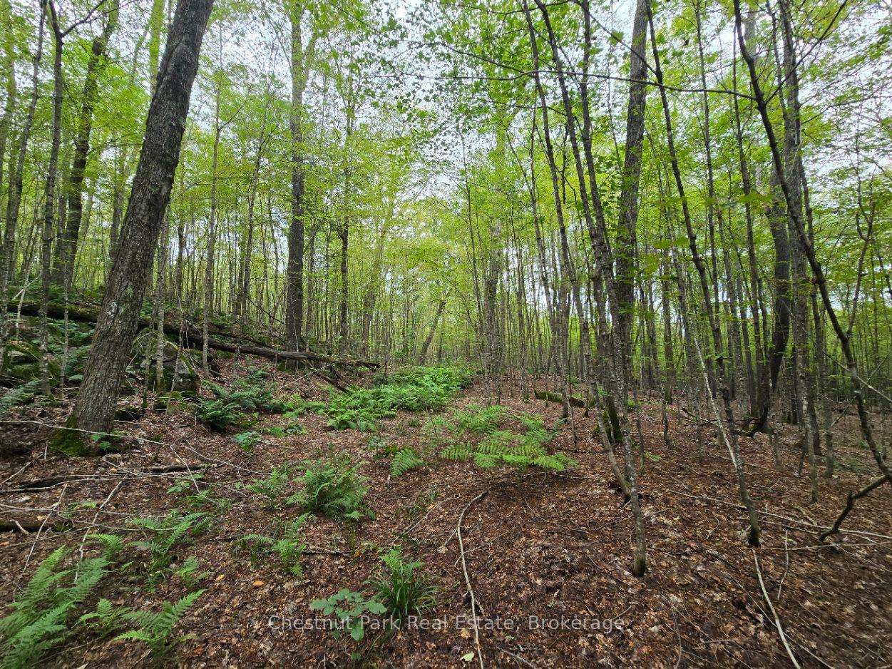 Photo 23 of 00 Old Track Road, Perry — HOMEH