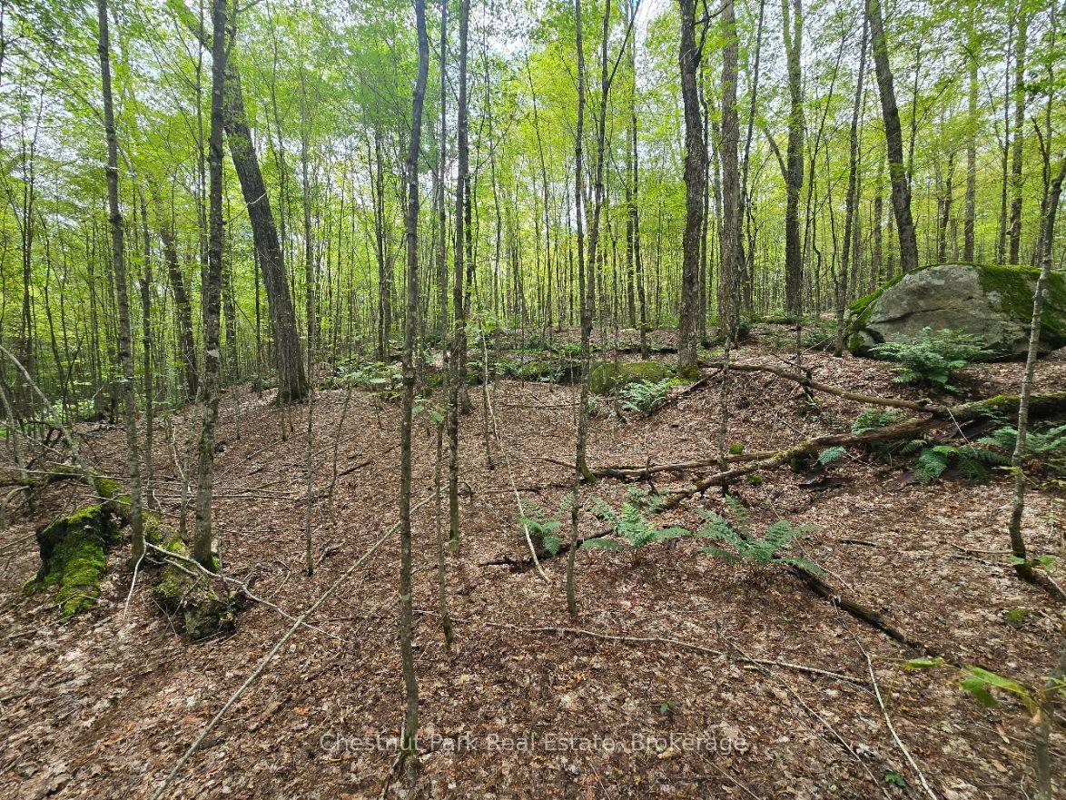 Photo 24 of 00 Old Track Road, Perry — HOMEH