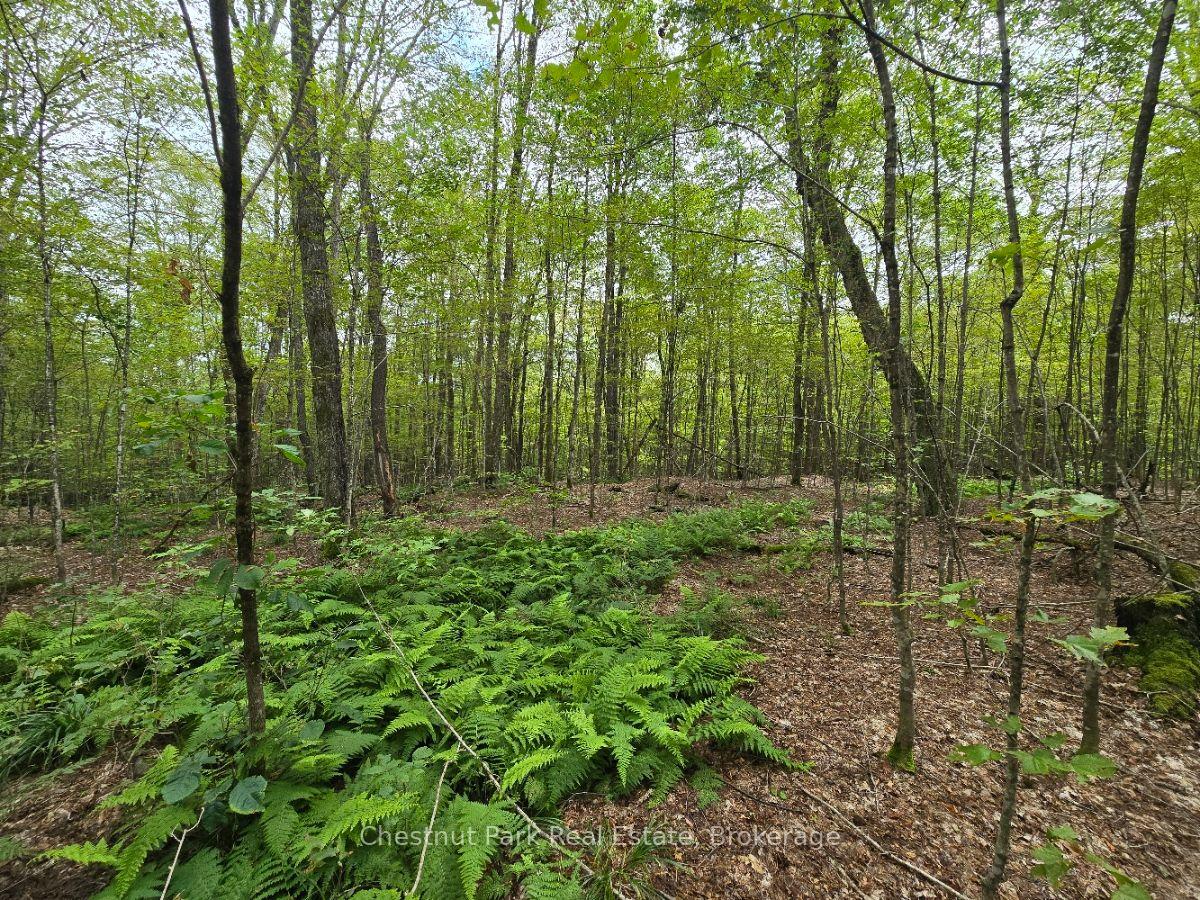 Photo 25 of 00 Old Track Road, Perry — HOMEH