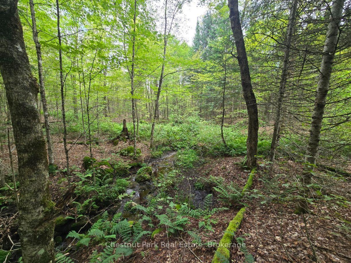 Photo 27 of 00 Old Track Road, Perry — HOMEH