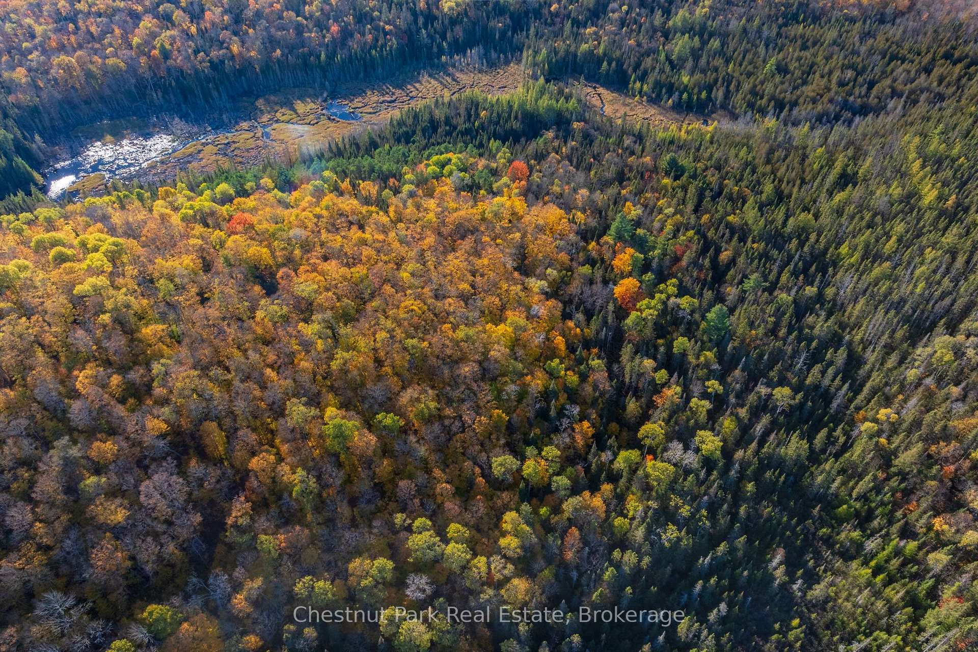 Photo 31 of 00 Old Track Road, Perry — HOMEH