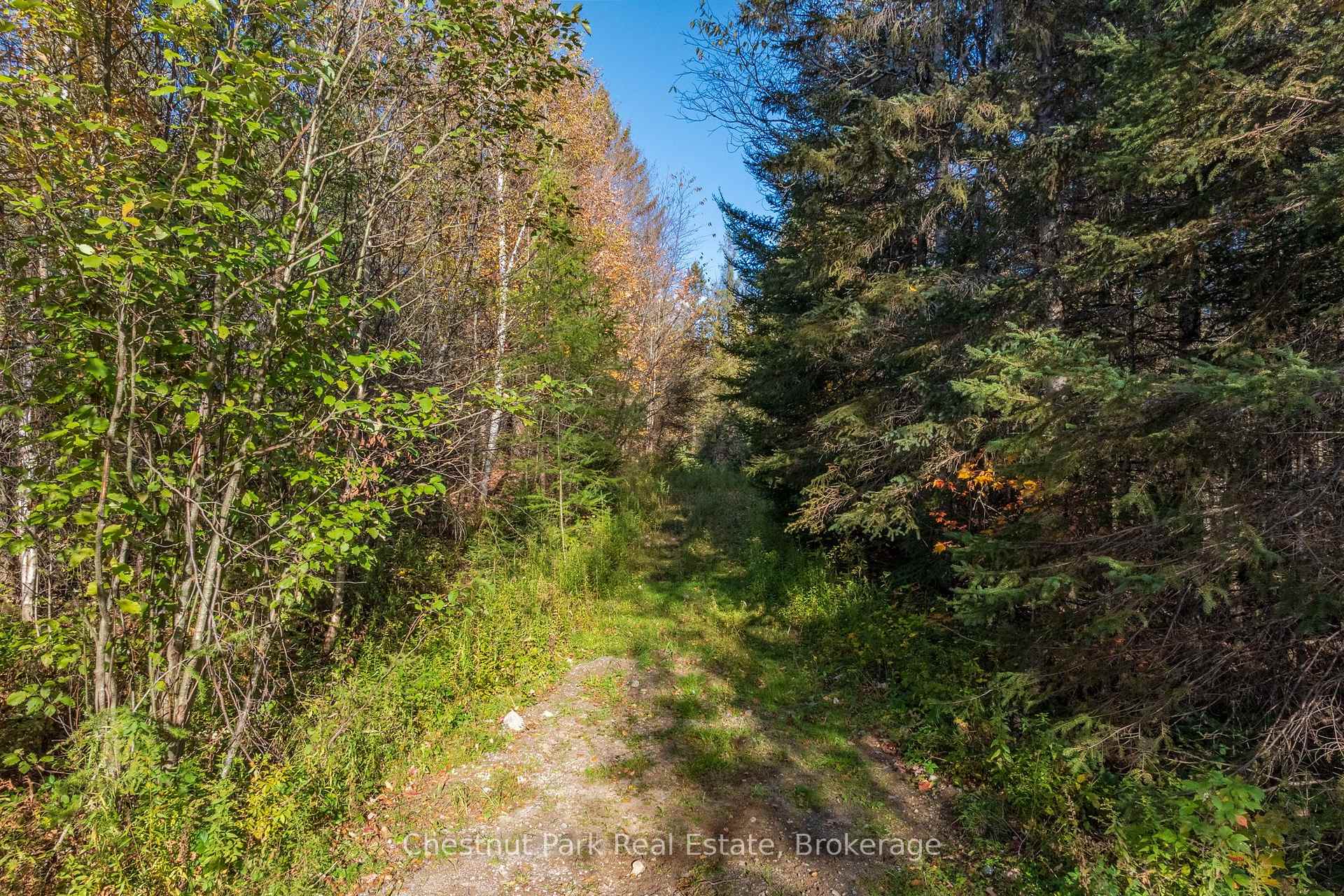 Photo 36 of 00 Old Track Road, Perry — HOMEH