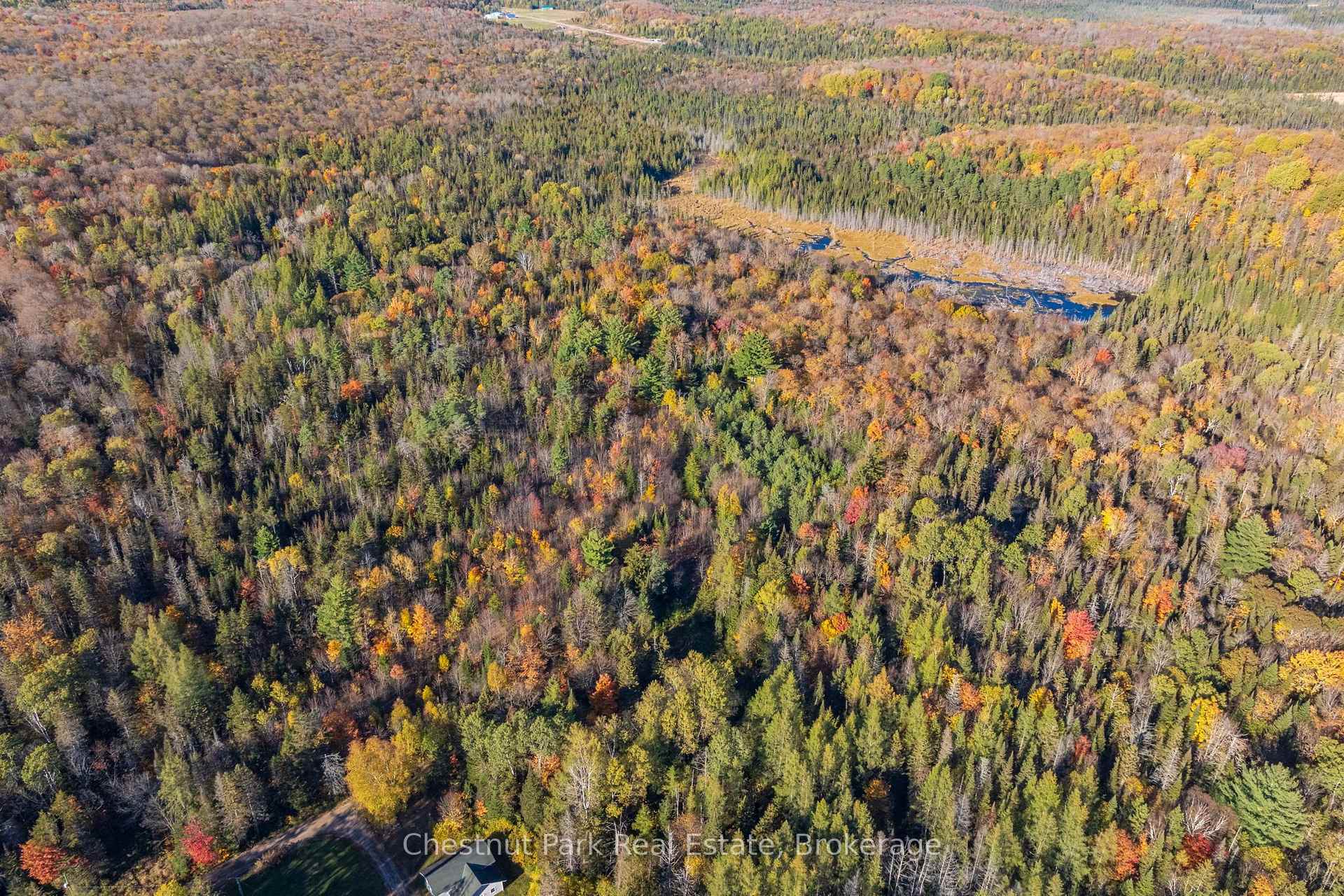 Photo 38 of 00 Old Track Road, Perry — HOMEH