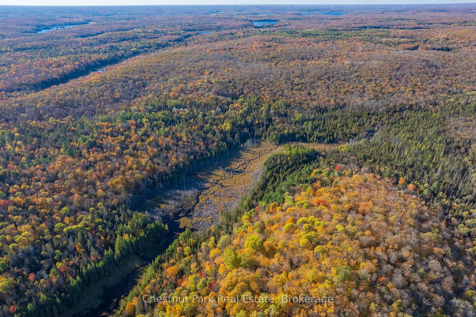 Photo 42 of 00 Old Track Road, Perry — HOMEH