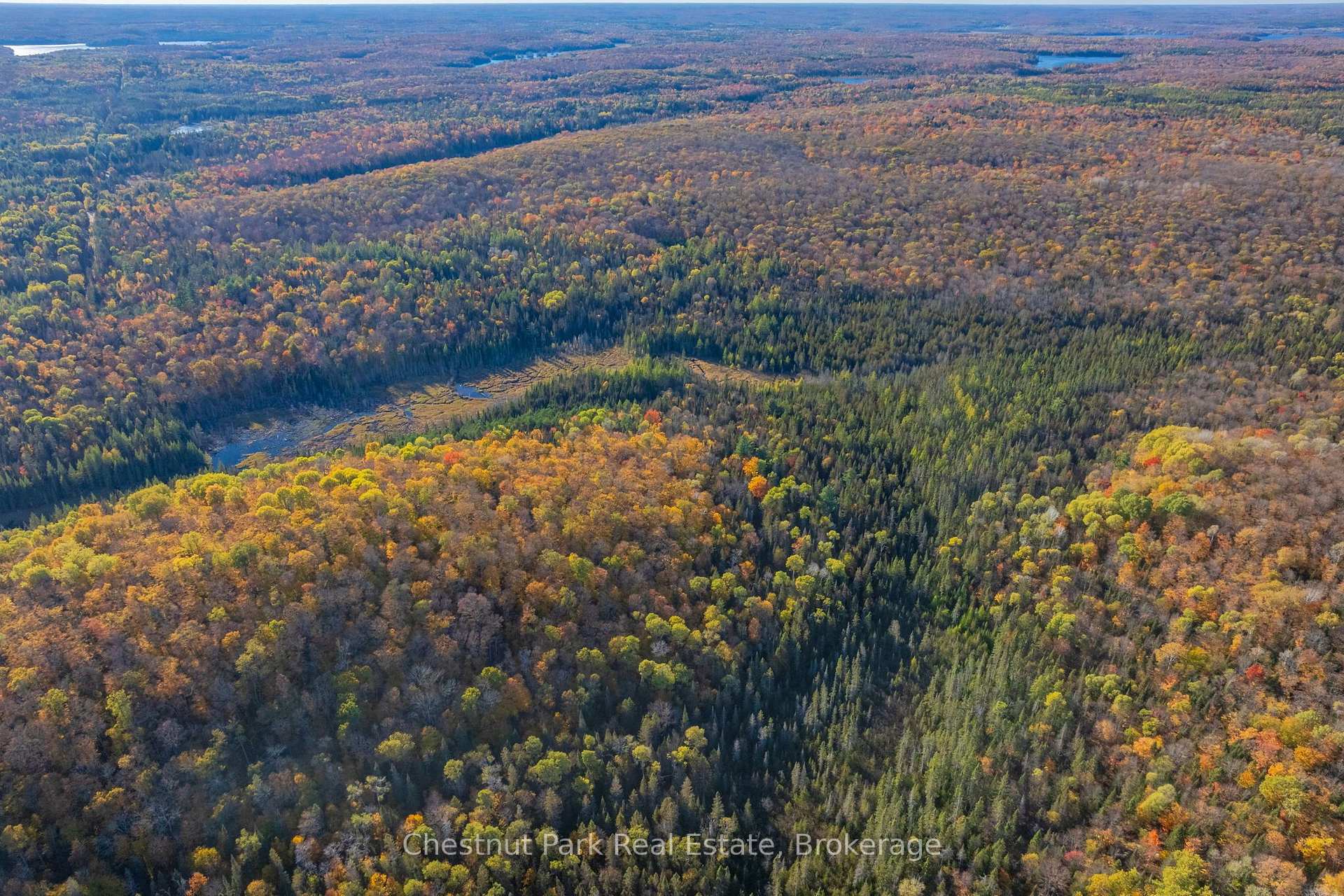 Photo 43 of 00 Old Track Road, Perry — HOMEH
