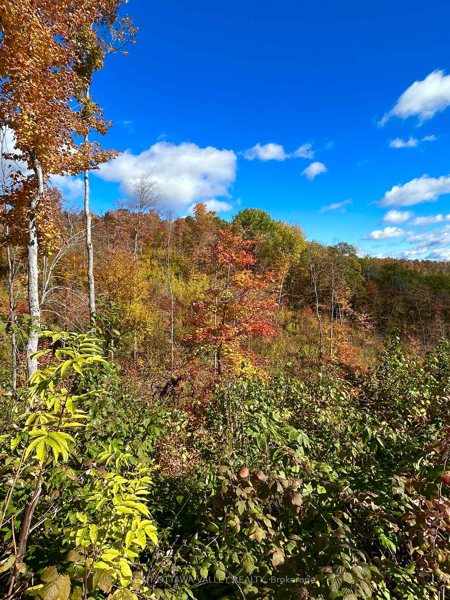 Photo 5 of 00 Rosien Road, Bonnechere Valley, Eganville/Bonnechere Twp — HOMEH
