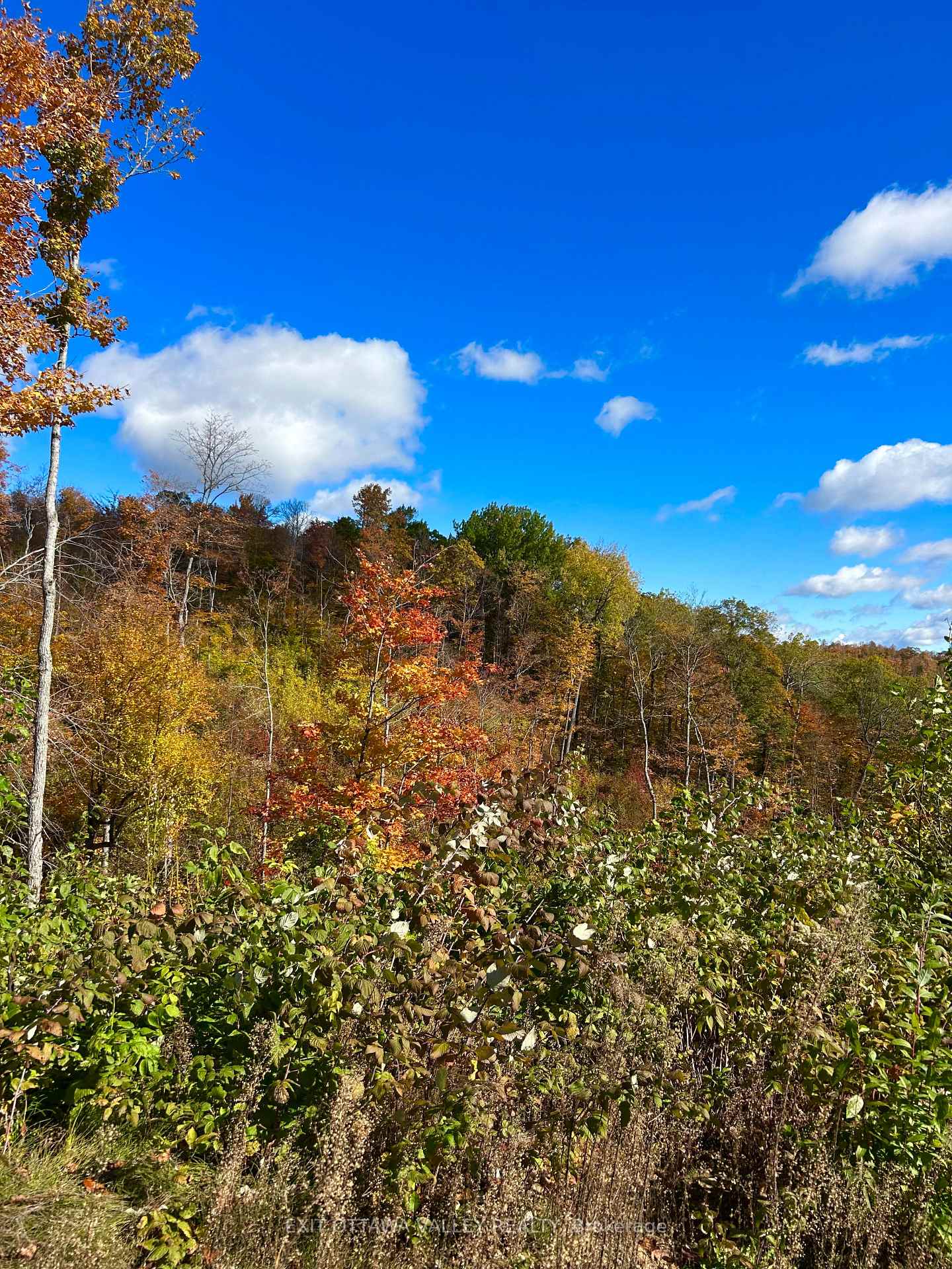 Photo 7 of 00 Rosien Road, Bonnechere Valley, Eganville/Bonnechere Twp — HOMEH