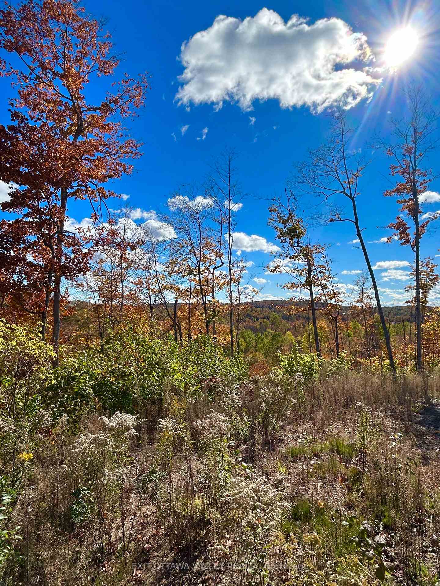 Photo 8 of 00 Rosien Road, Bonnechere Valley, Eganville/Bonnechere Twp — HOMEH