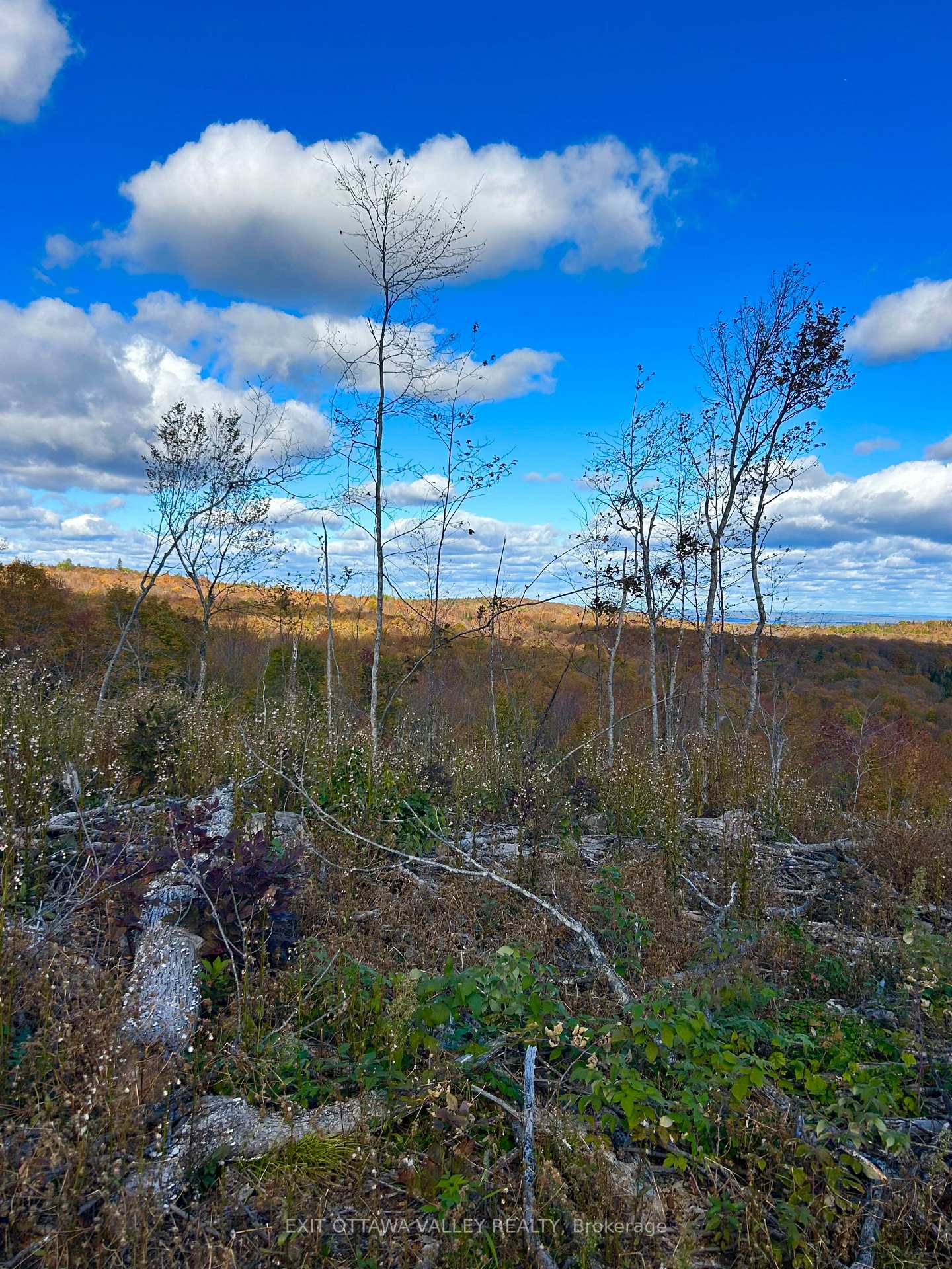 Photo 11 of 00 Rosien Road, Bonnechere Valley, Eganville/Bonnechere Twp — HOMEH