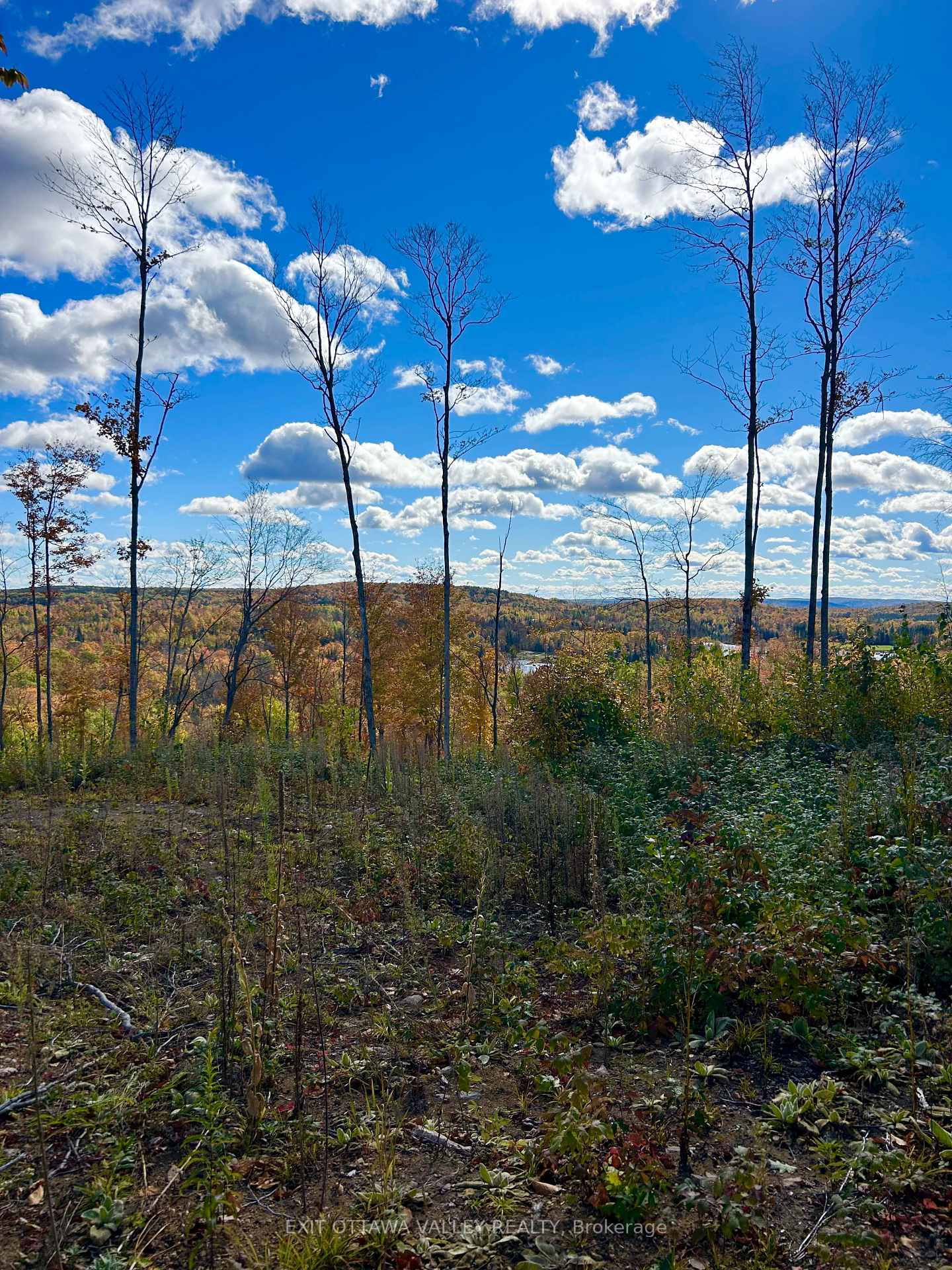Photo 14 of 00 Rosien Road, Bonnechere Valley, Eganville/Bonnechere Twp — HOMEH