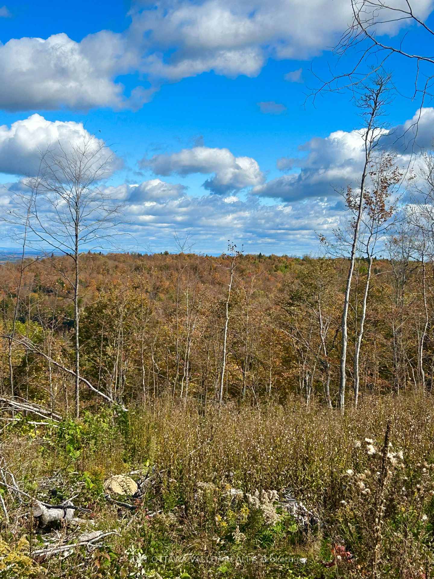 Photo 15 of 00 Rosien Road, Bonnechere Valley, Eganville/Bonnechere Twp — HOMEH
