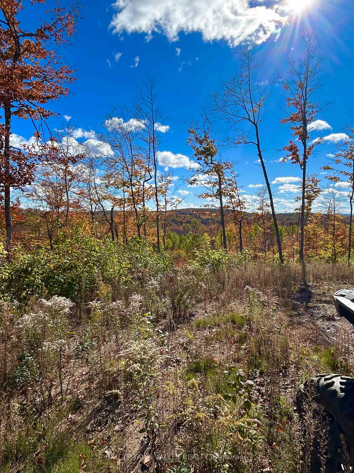 Photo 16 of 00 Rosien Road, Bonnechere Valley, Eganville/Bonnechere Twp — HOMEH