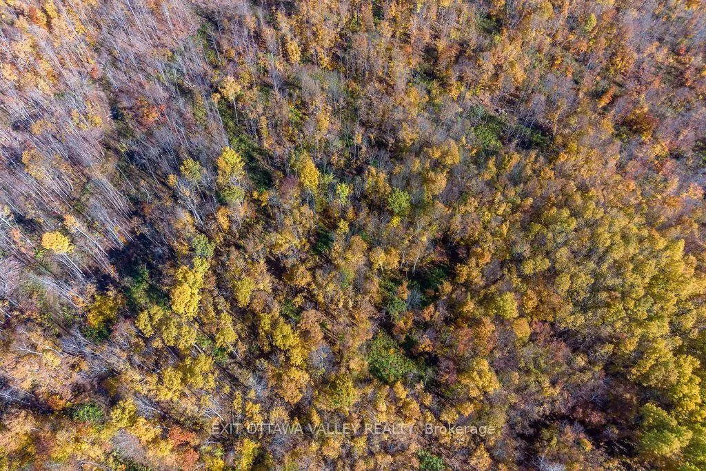 Photo 38 of 00 Rosien Road, Bonnechere Valley, Eganville/Bonnechere Twp — HOMEH