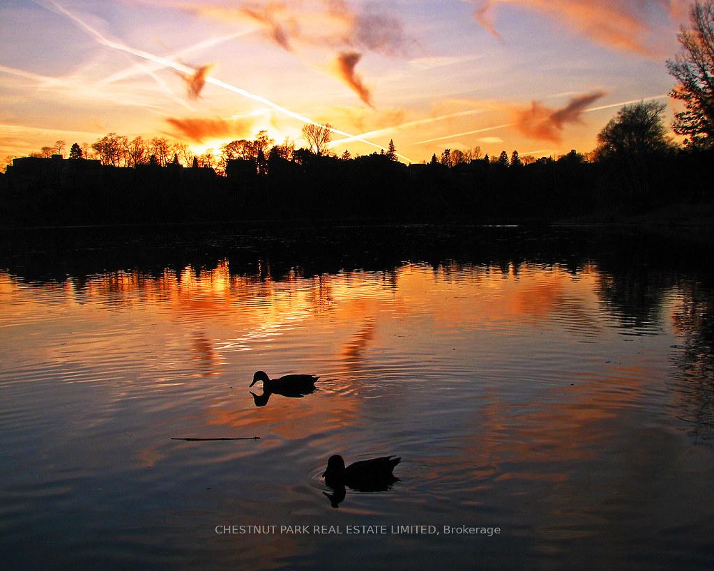 Photo 82 of Unit Rear, 95 Parkside Drive, Toronto, High Park-Swansea — HOMEH