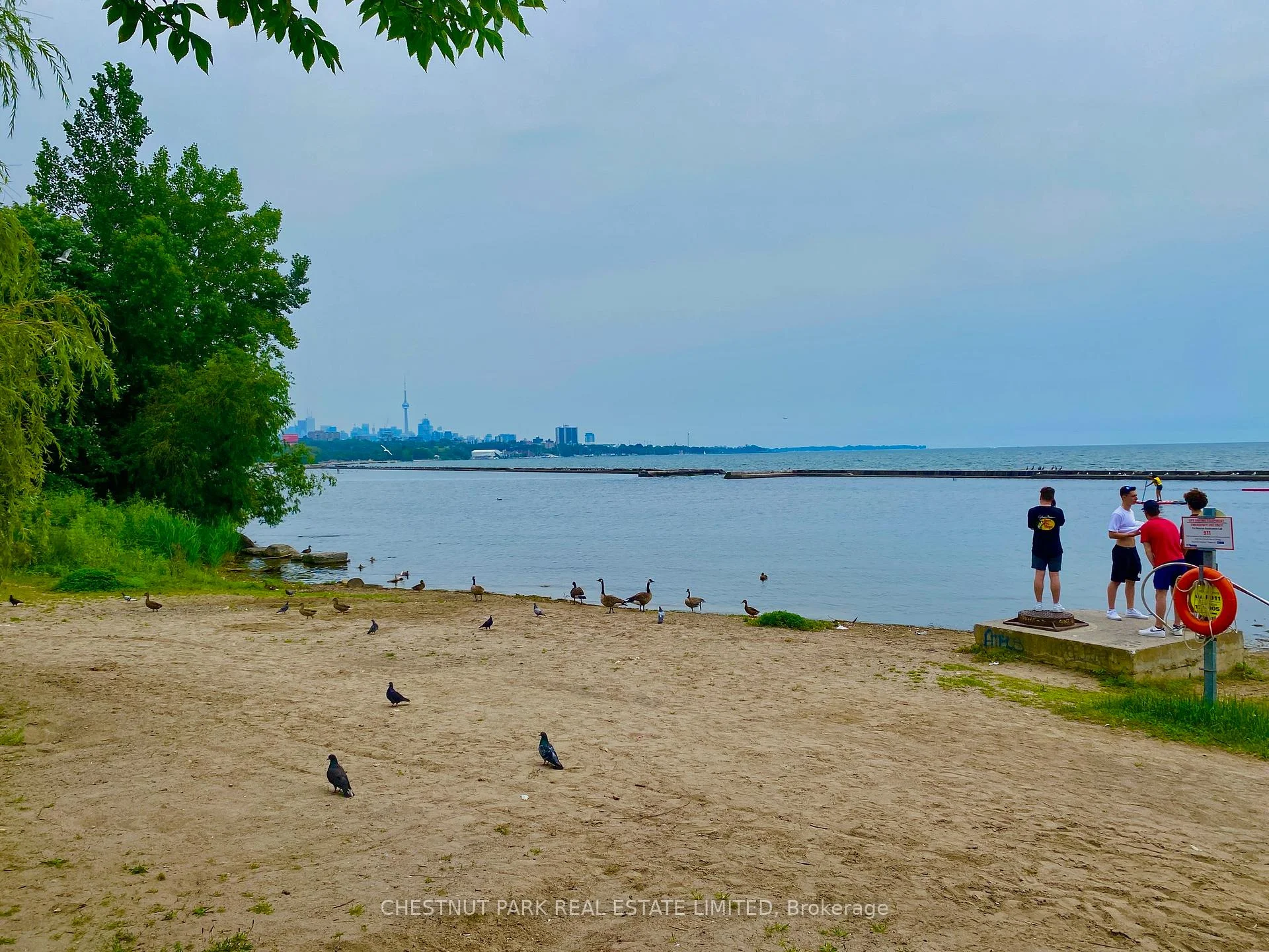 Photo 81 of Unit Rear, 95 Parkside Drive, Toronto, High Park-Swansea — HOMEH
