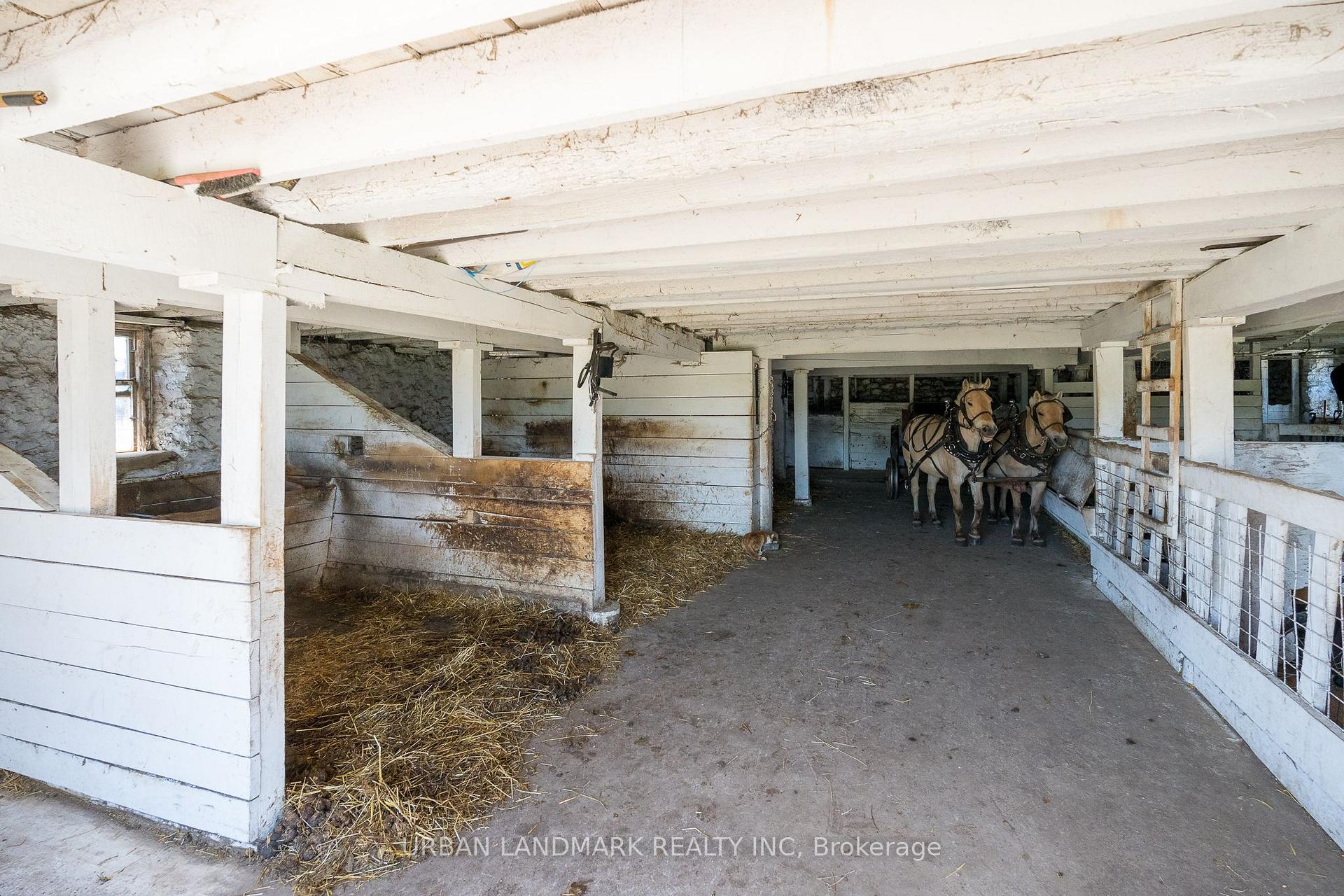 Photo 30 of 233 Moira Road, Centre Hastings — HOMEH