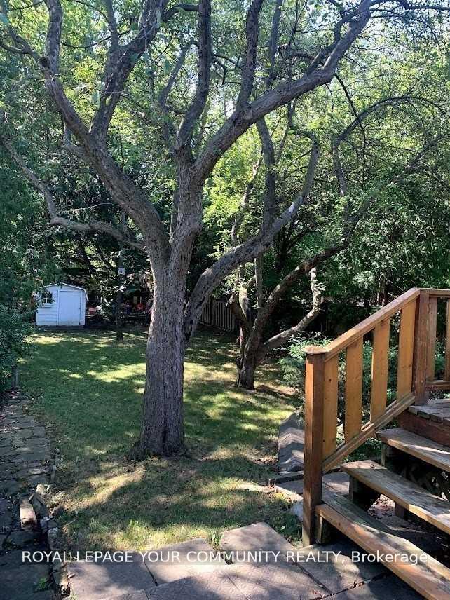 Photo 5 of 223 Mckee Avenue, North York, Willowdale East — HOMEH