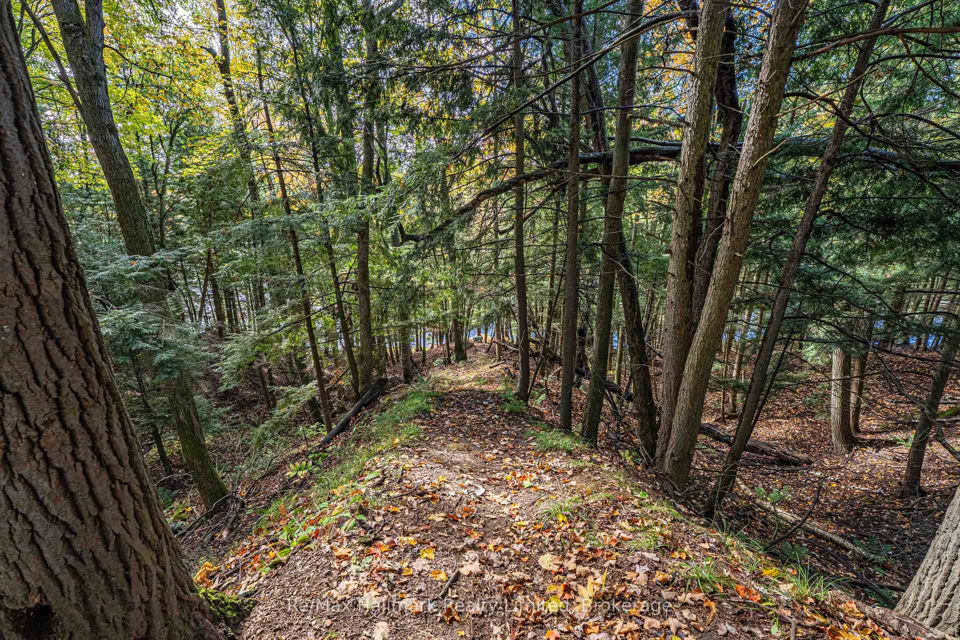 Photo 46 of 140 Woodward Street, Bracebridge — HOMEH