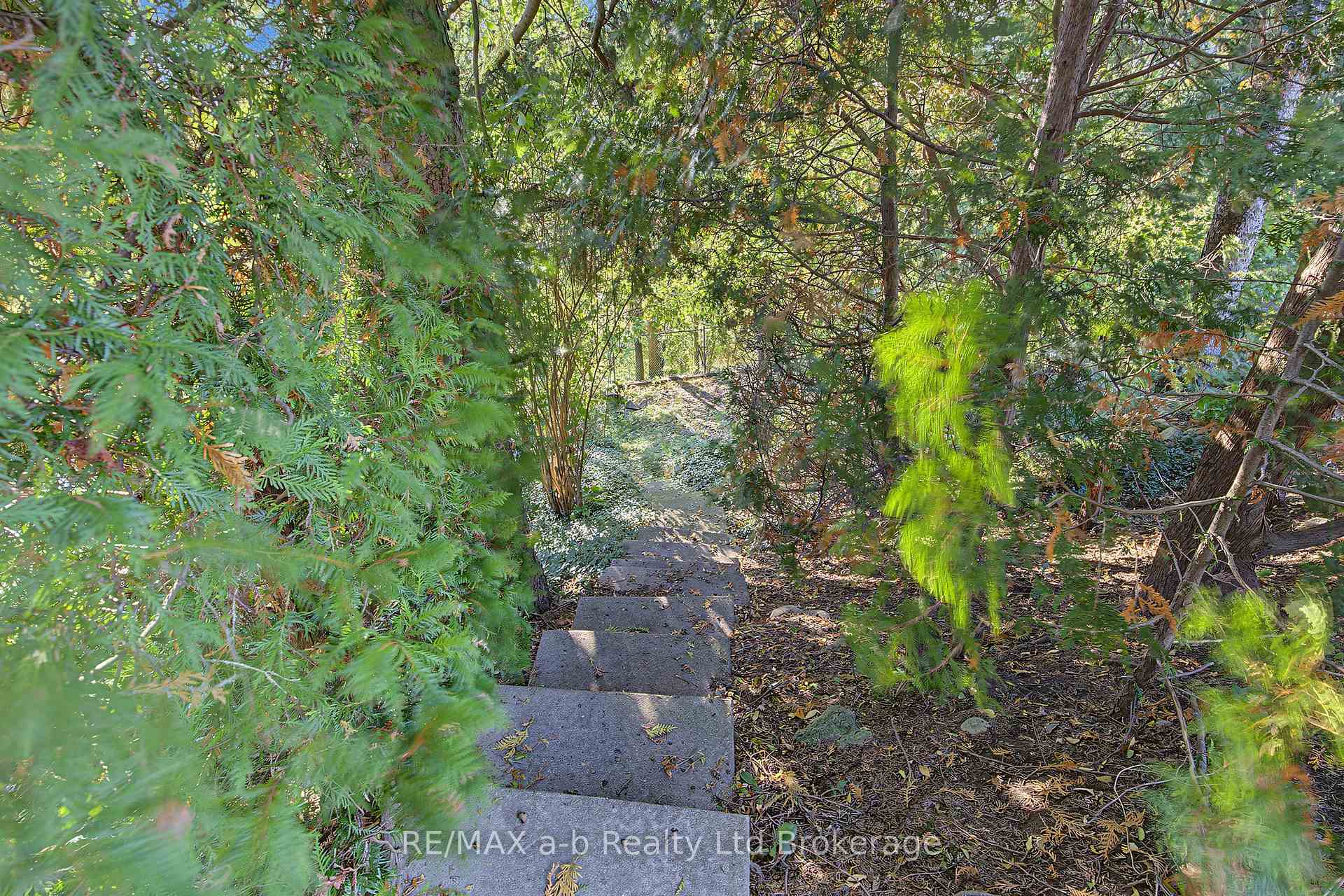 Photo 30 of 20 Pinecrest Avenue, Cambridge, Christopher-Champlain — HOMEH