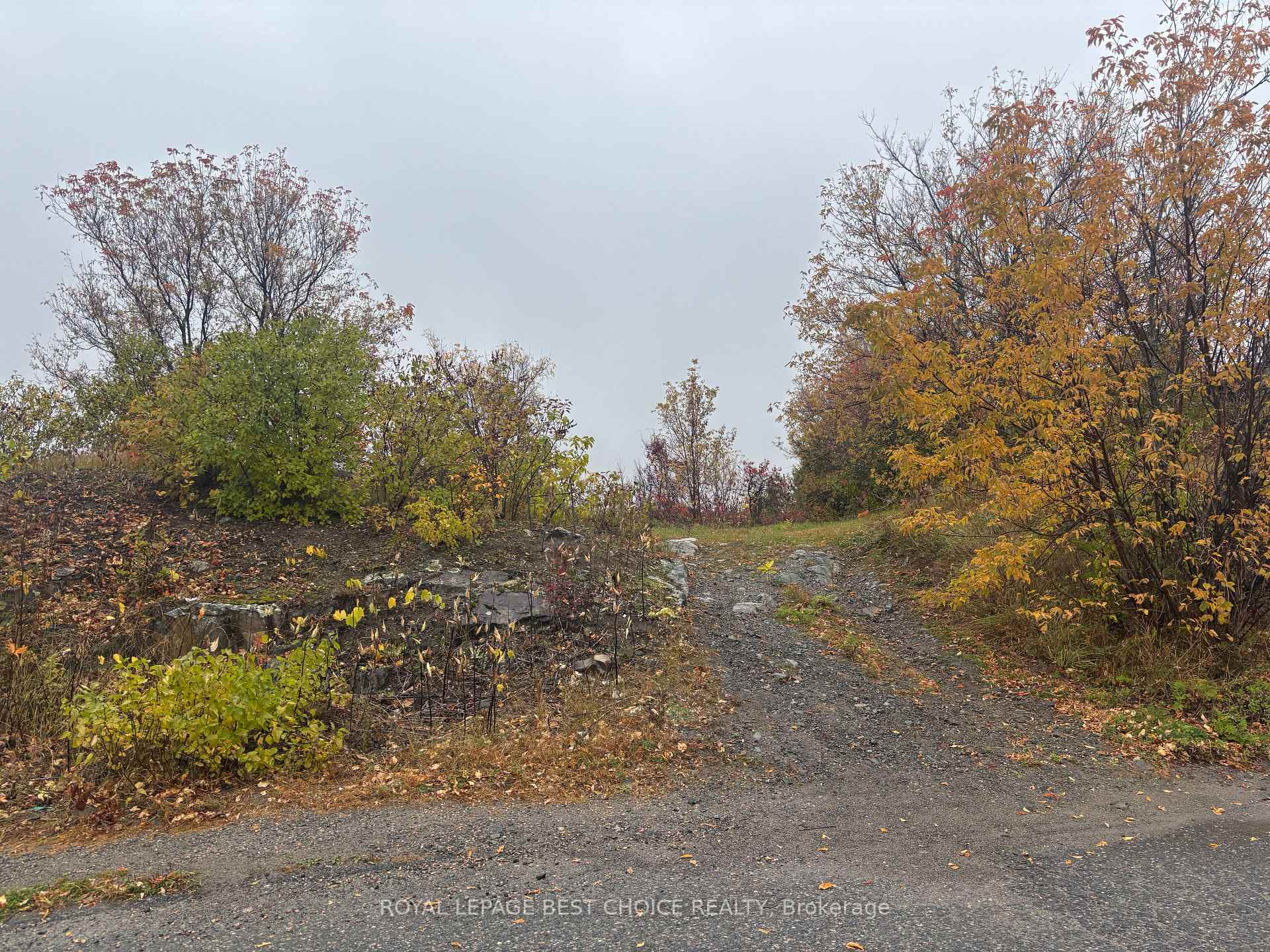 Photo 2 of 28 Laird Crescent, Cobalt — HOMEH