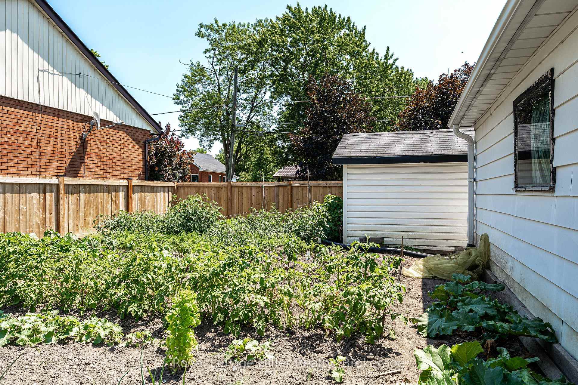 Photo 33 of 185 Strachan Street, Stratford — HOMEH