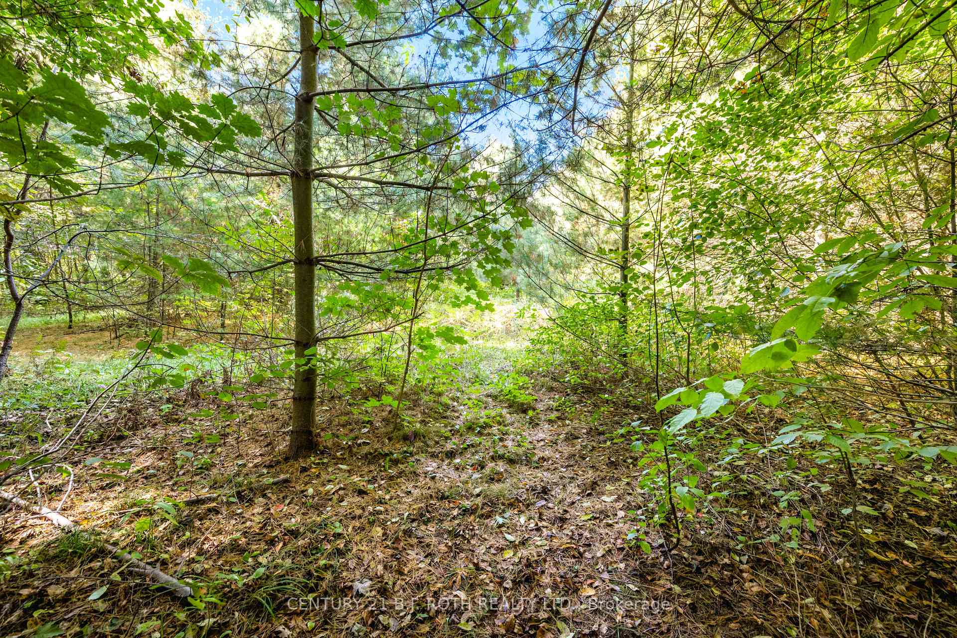 Photo 44 of 2 Sycamore Circle, Springwater, Rural Springwater — HOMEH
