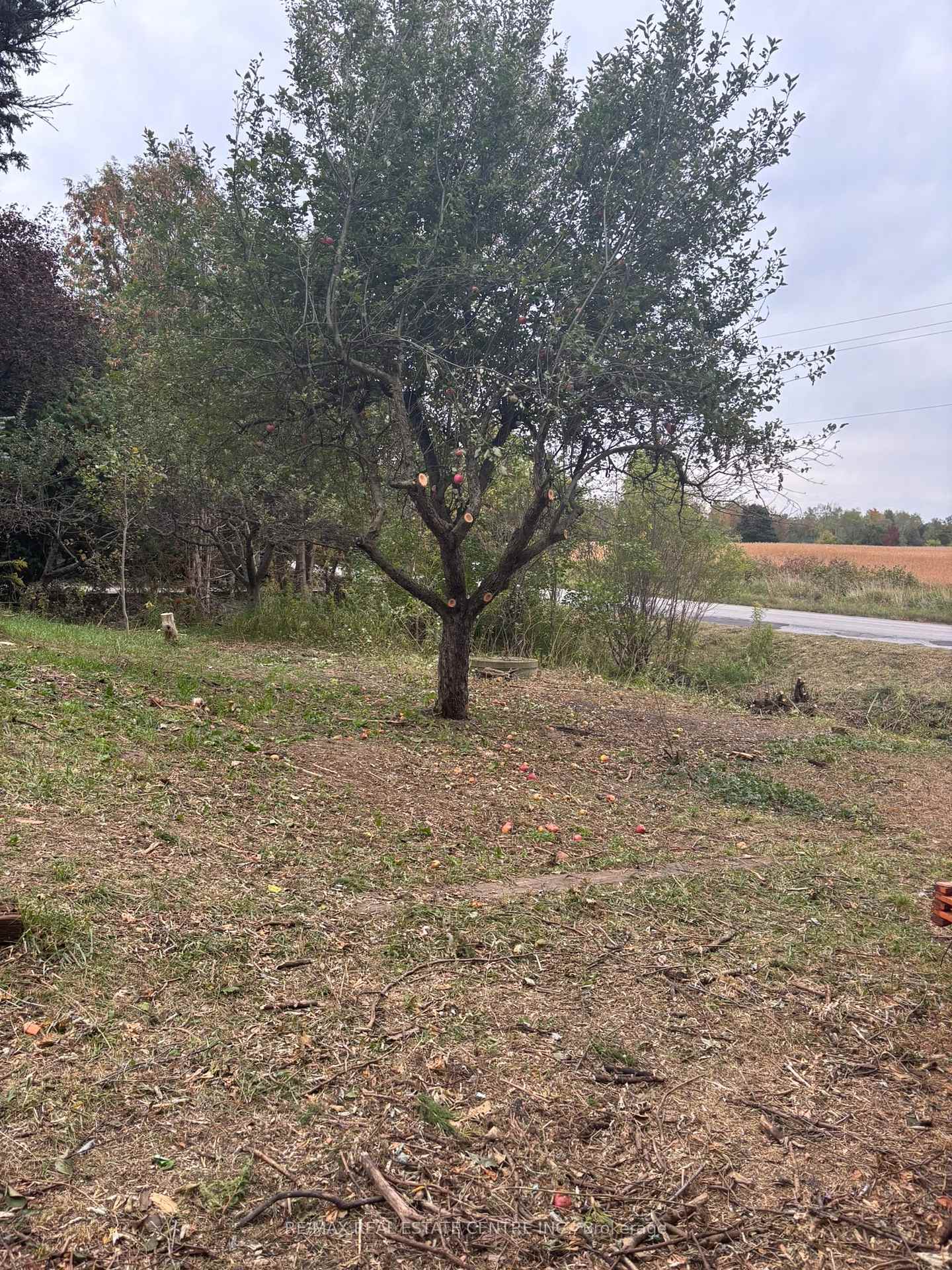 Photo 3 of 14273 4th Line, Halton Hills, Rural Halton Hills — HOMEH