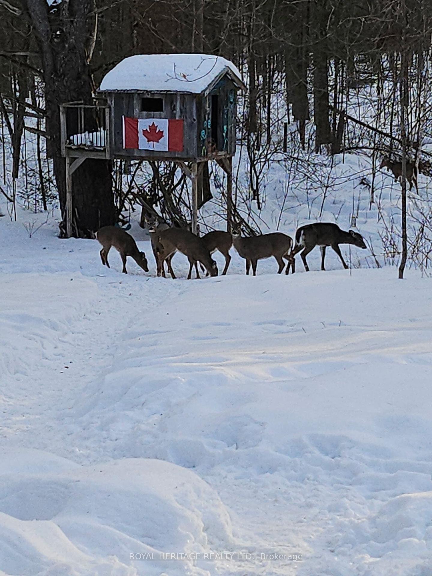 Photo 51 of 723 County Rd 49, Kawartha Lakes, Verulam — HOMEH