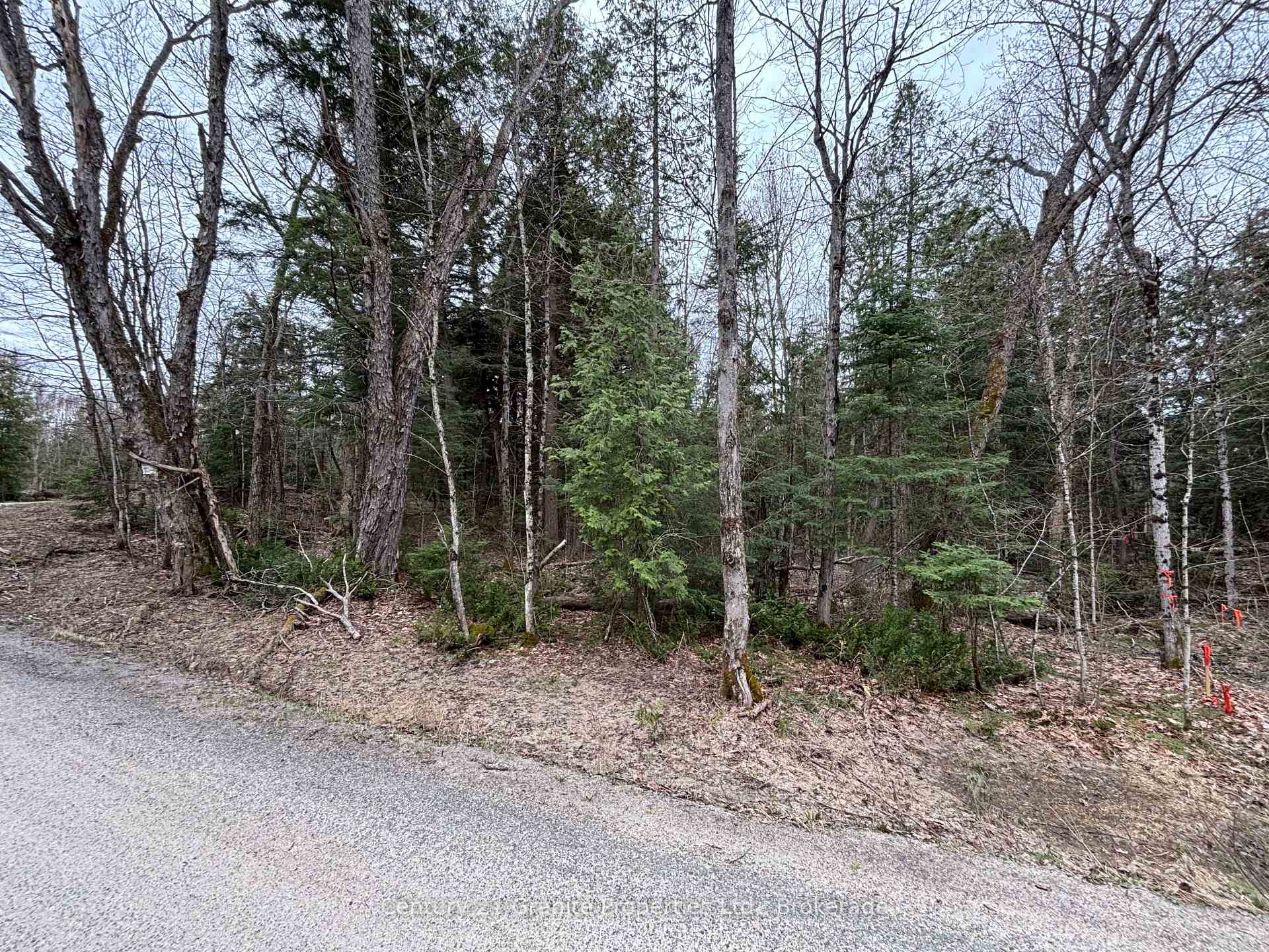 Photo 3 of Lot 1 Loch Erne Road, McDougall — HOMEH