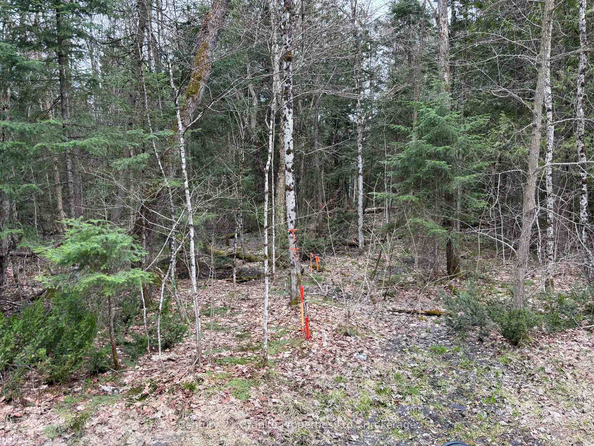 Photo 4 of Lot 1 Loch Erne Road, McDougall — HOMEH