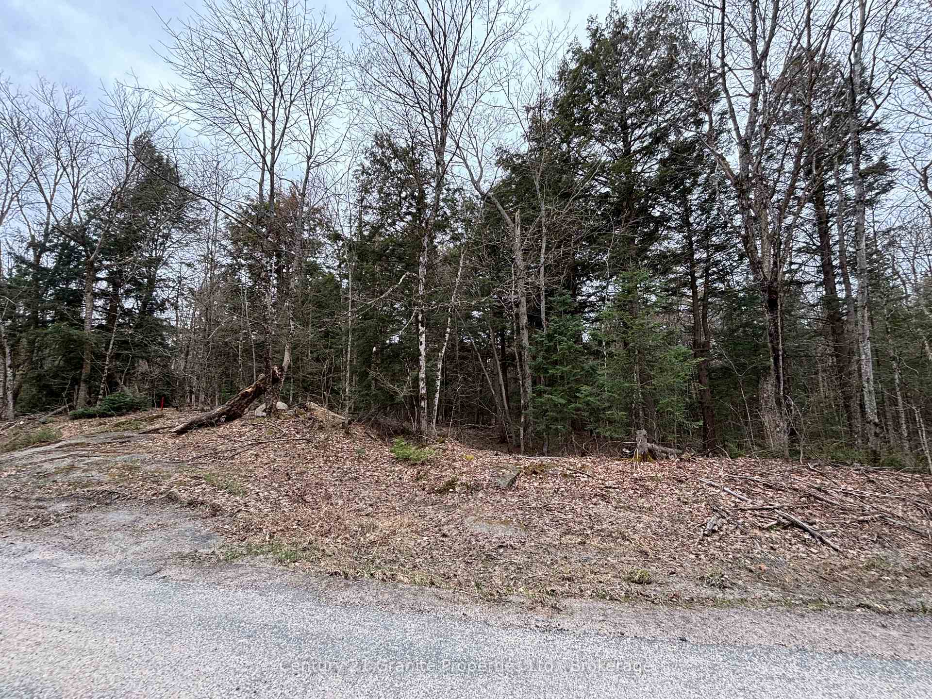 Photo 5 of Lot 1 Loch Erne Road, McDougall — HOMEH