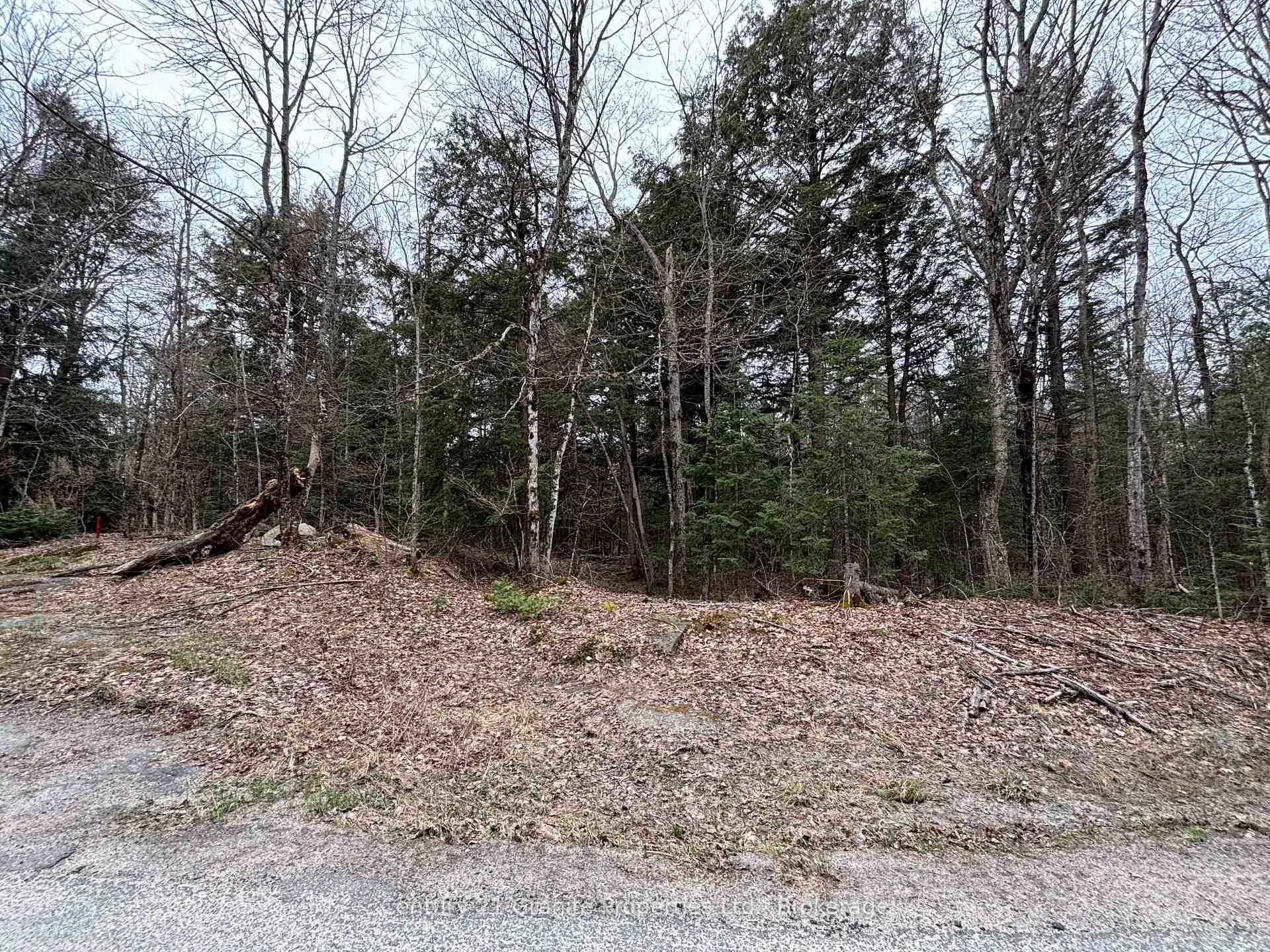 Photo 6 of Lot 1 Loch Erne Road, McDougall — HOMEH