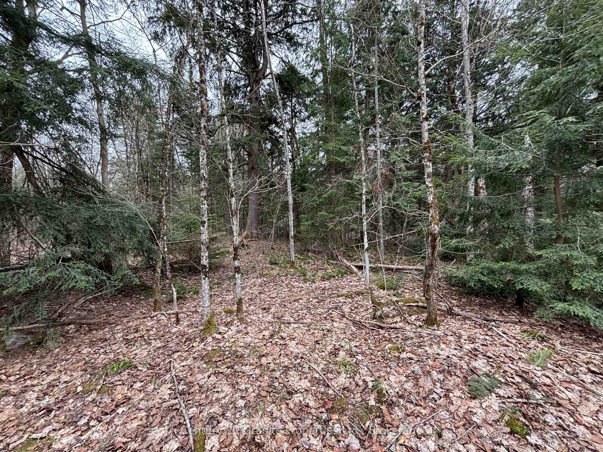 Photo 7 of Lot 1 Loch Erne Road, McDougall — HOMEH