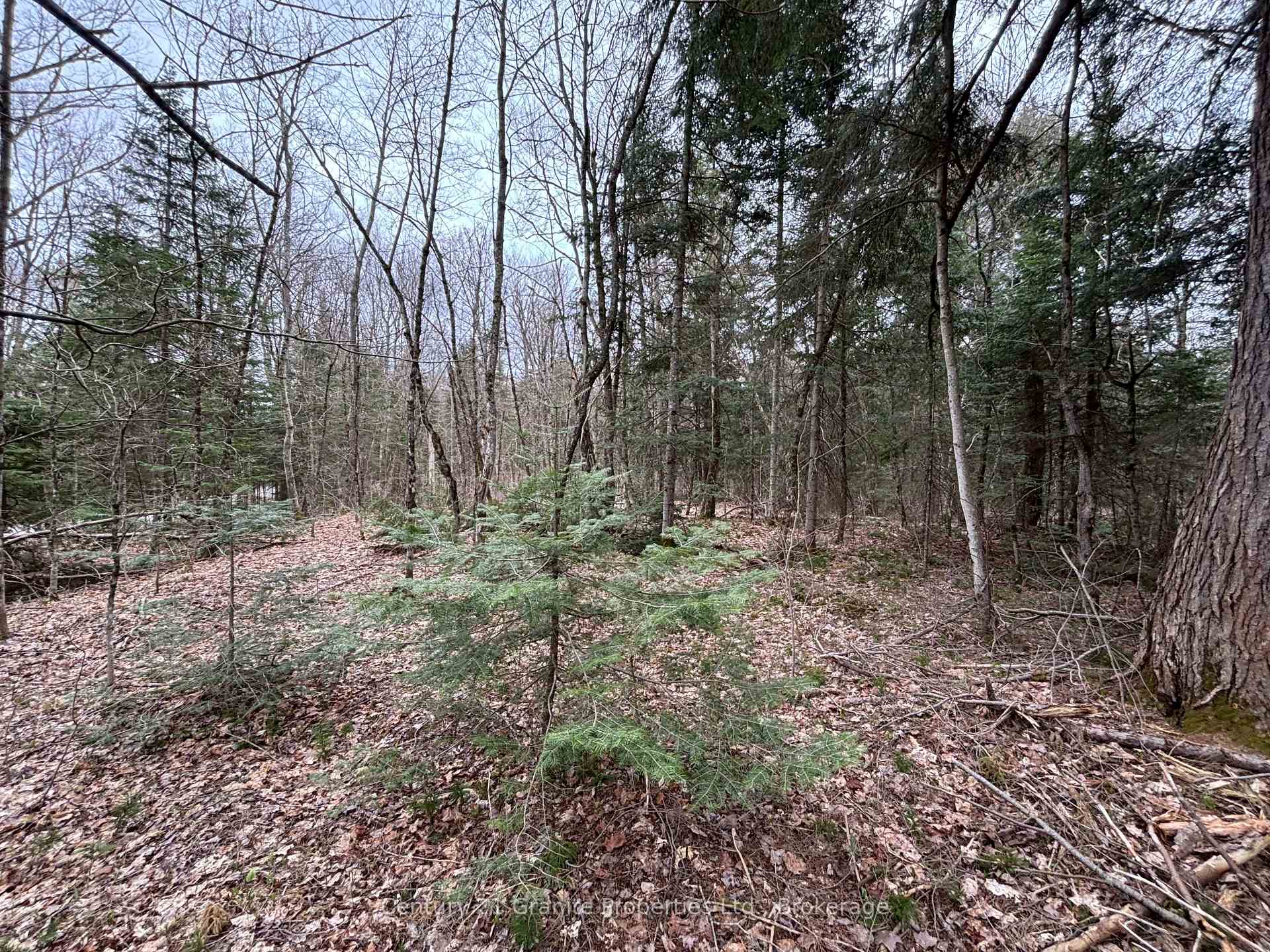 Photo 8 of Lot 1 Loch Erne Road, McDougall — HOMEH