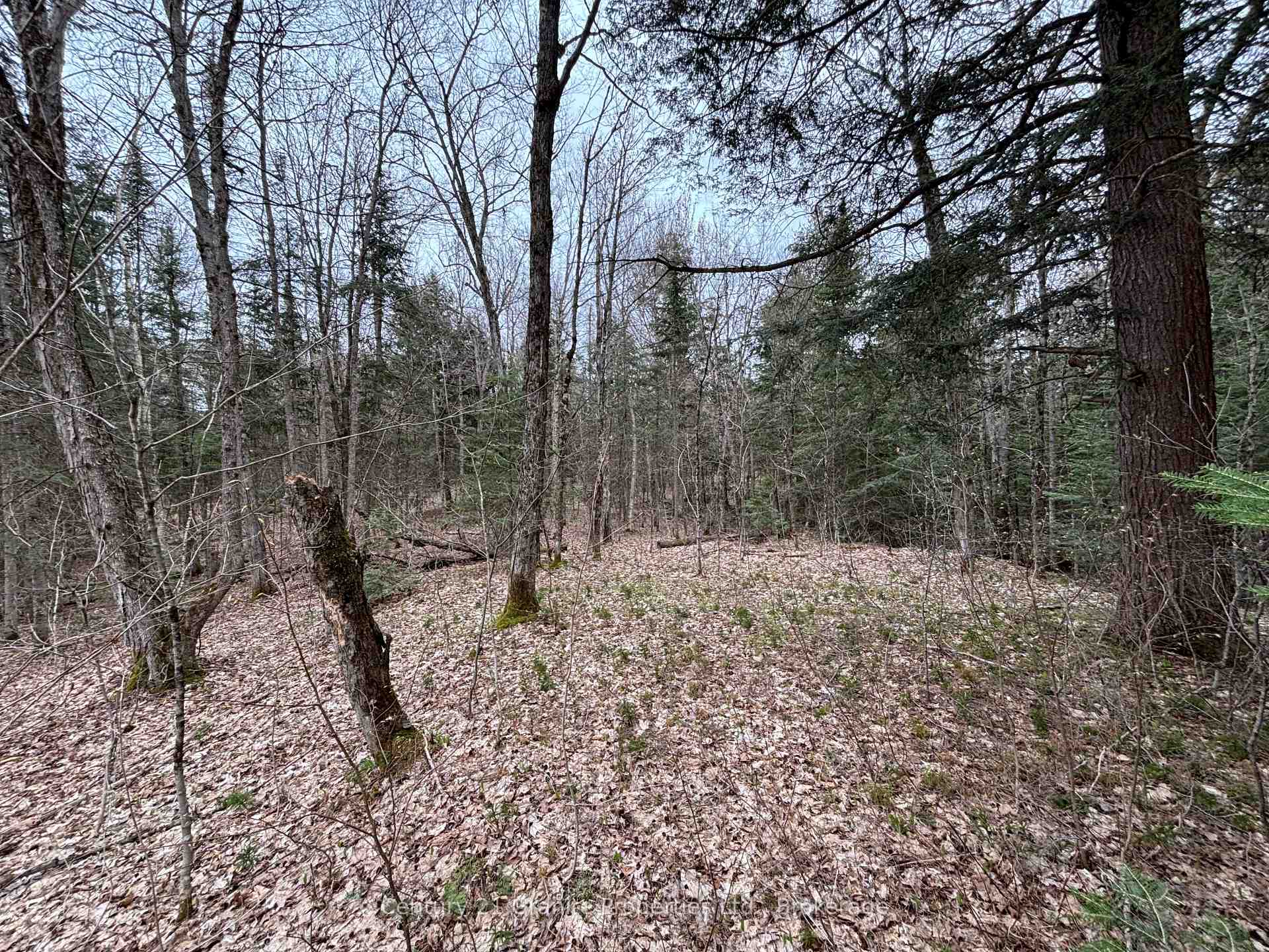 Photo 9 of Lot 1 Loch Erne Road, McDougall — HOMEH