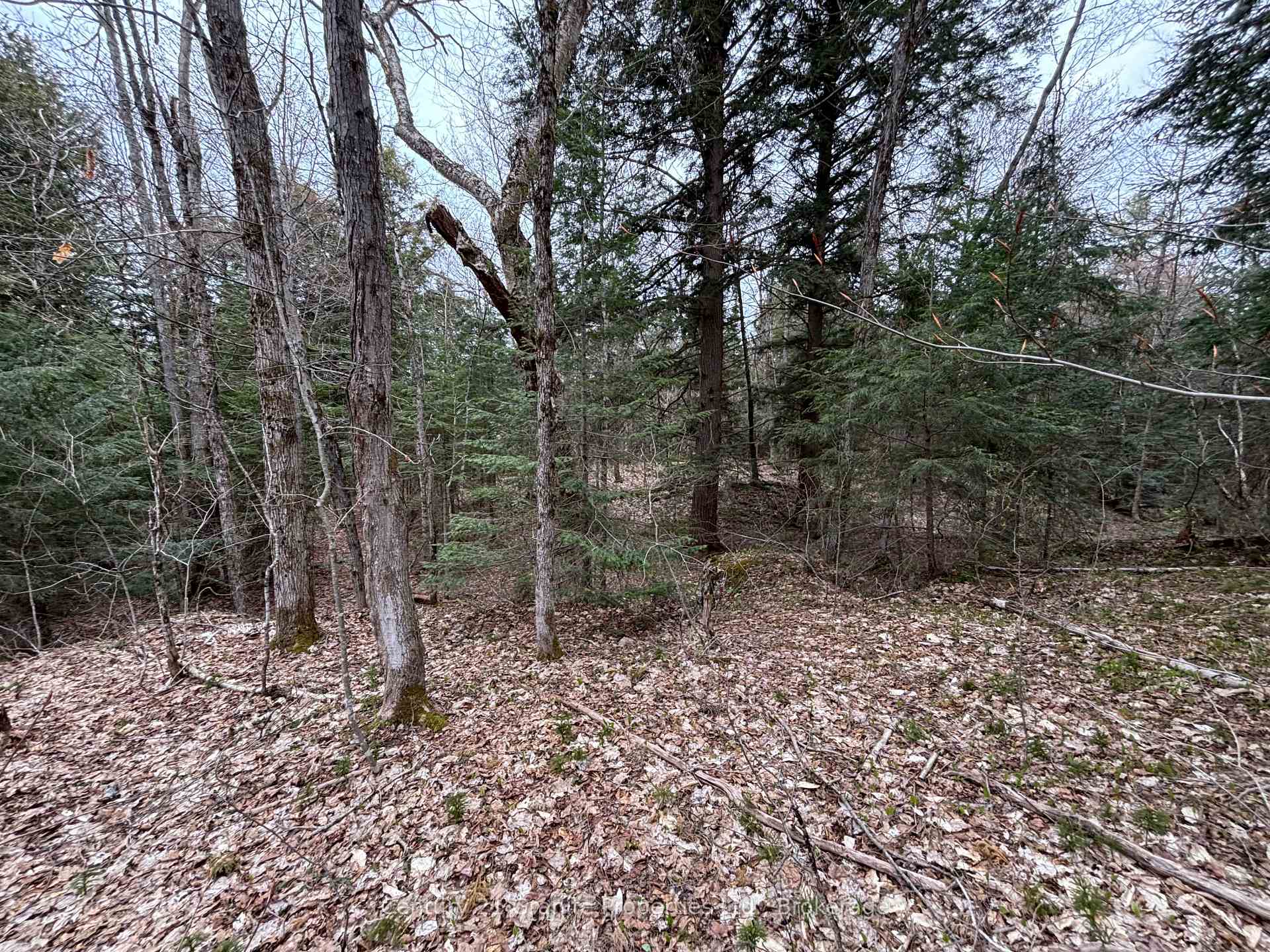 Photo 10 of Lot 1 Loch Erne Road, McDougall — HOMEH