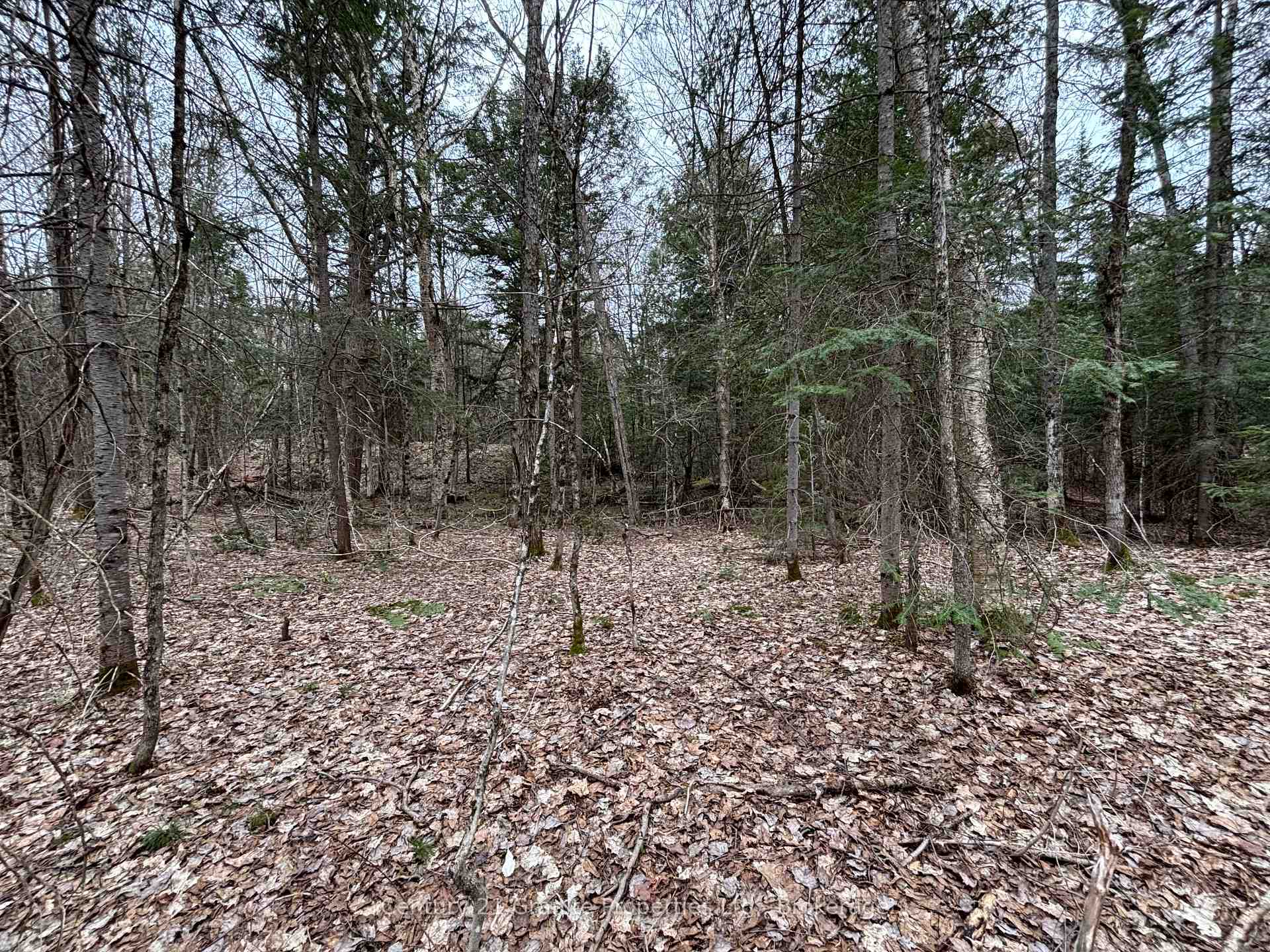 Photo 11 of Lot 1 Loch Erne Road, McDougall — HOMEH